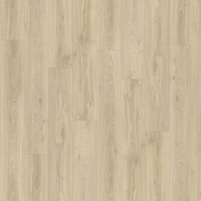 Moduleo Transform Blackjack Oak 22215